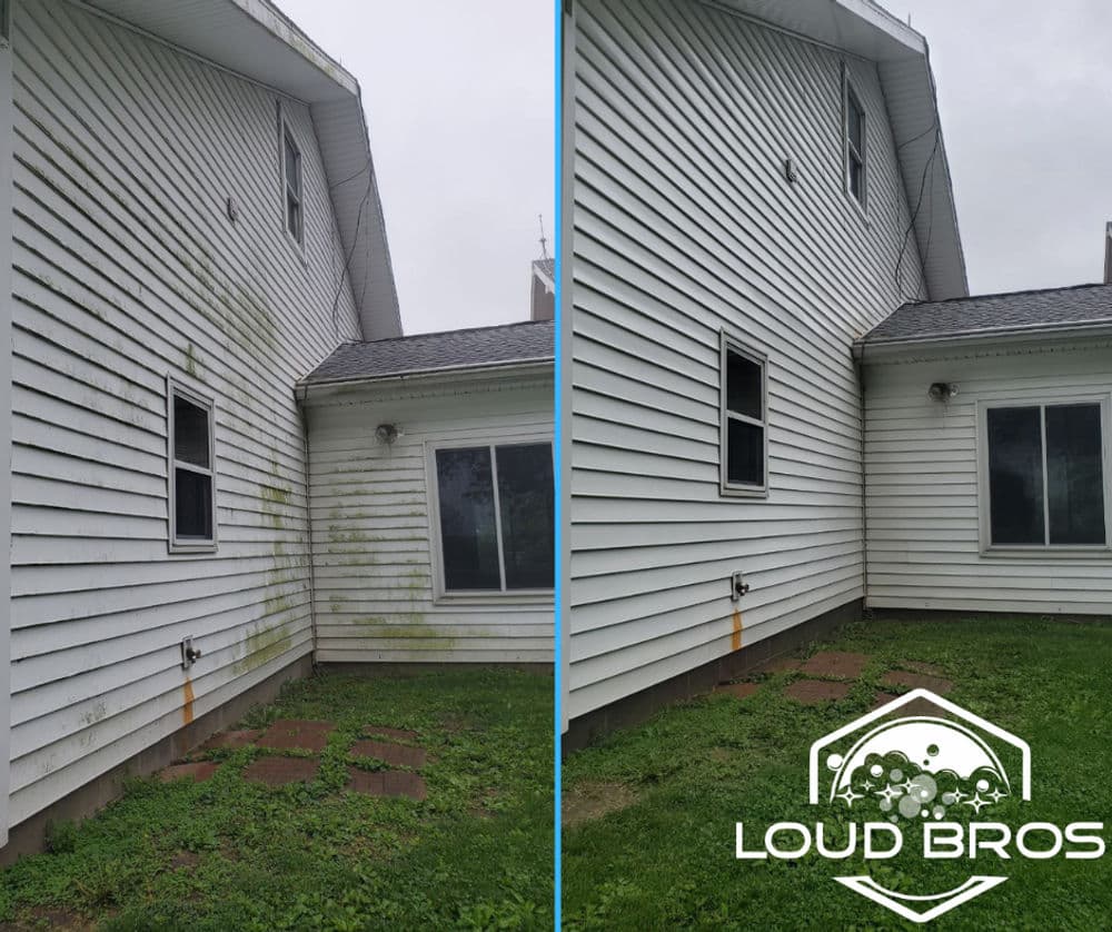 Contact form background