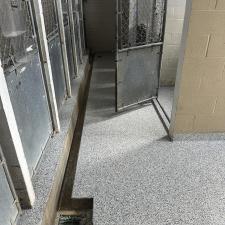 Top-Quality-Animal-Shelter-Floor-Coatings-in-Bloomington-IL 0